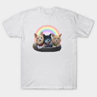 Chihuahua Trio T-Shirt